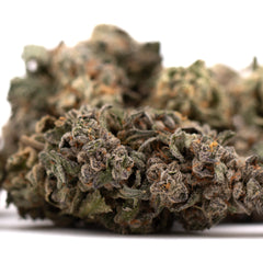 Guava Z Indoor THCa Flower - Plants