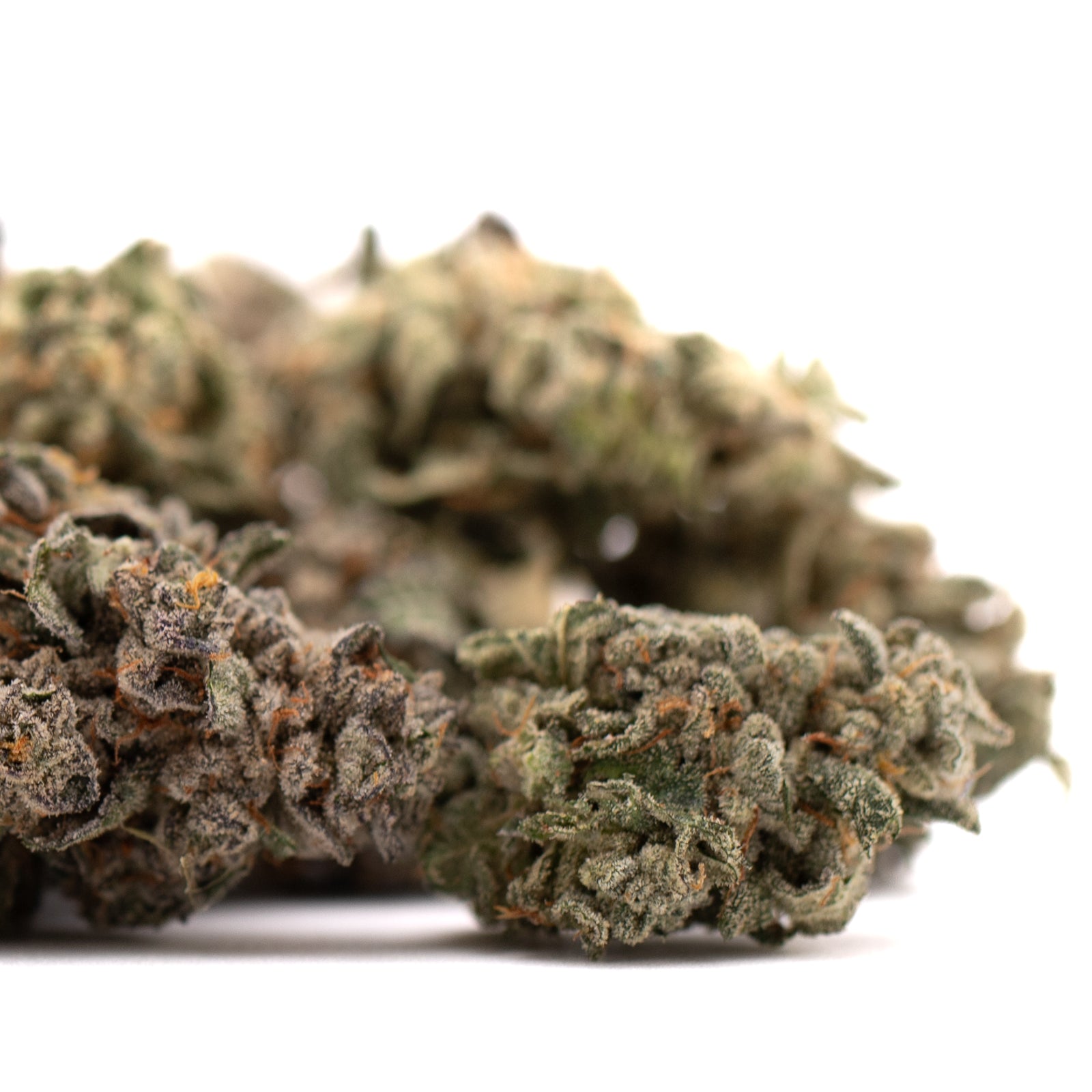 Guava Z Indoor THCa Flower - Plants