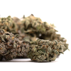 Guava Z Indoor THCa Flower - Plants
