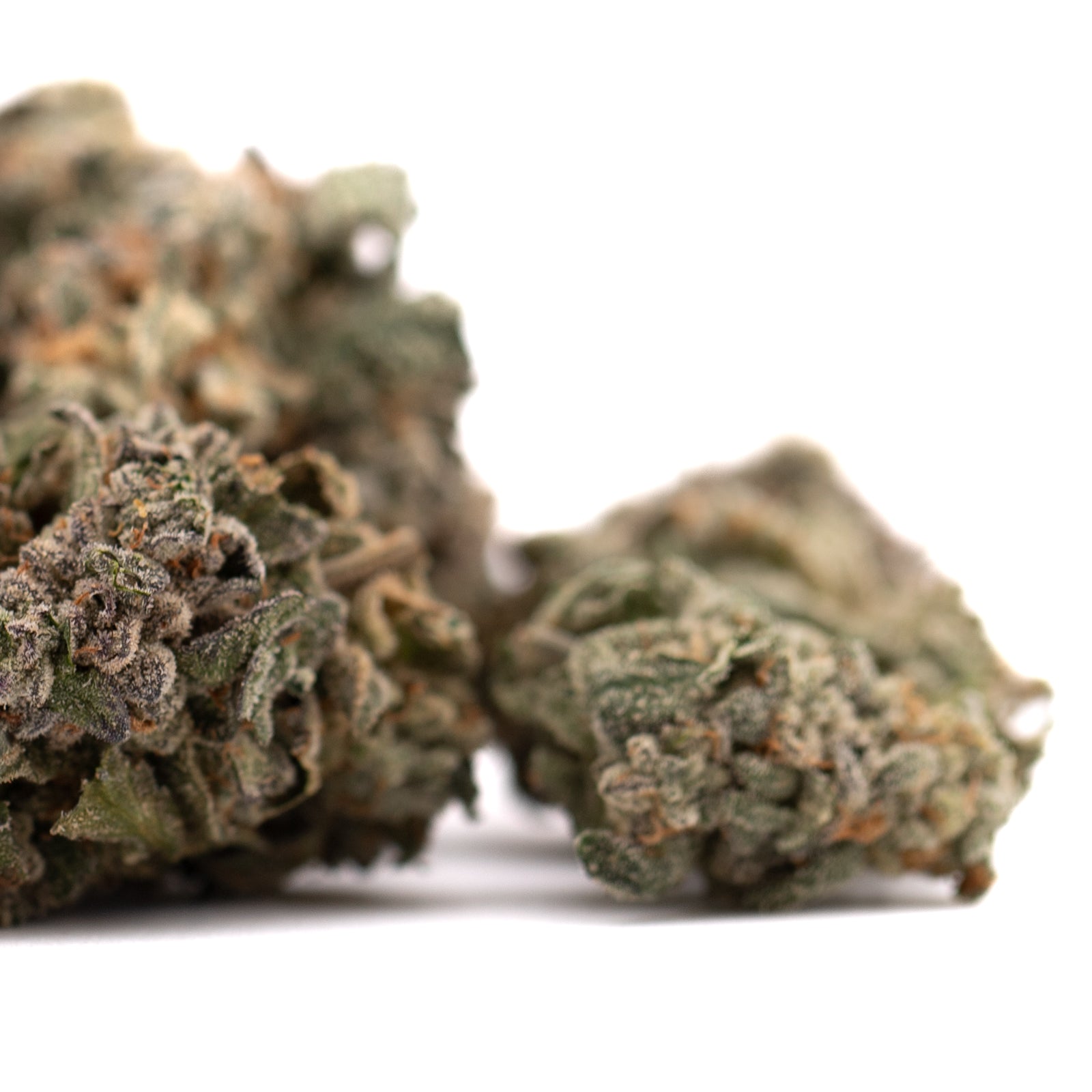 Guava Z Indoor THCa Flower - Plants