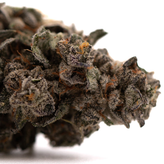 Guava Z Indoor THCa Flower - Plants