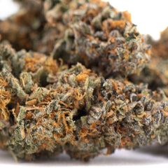 Gas Guzzler Indoor THCa Flower