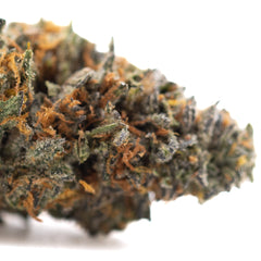 Gas Guzzler Indoor THCa Flower