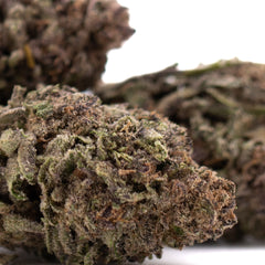 Halle Berry THCa Hemp Flower Greenhouse Wholesale