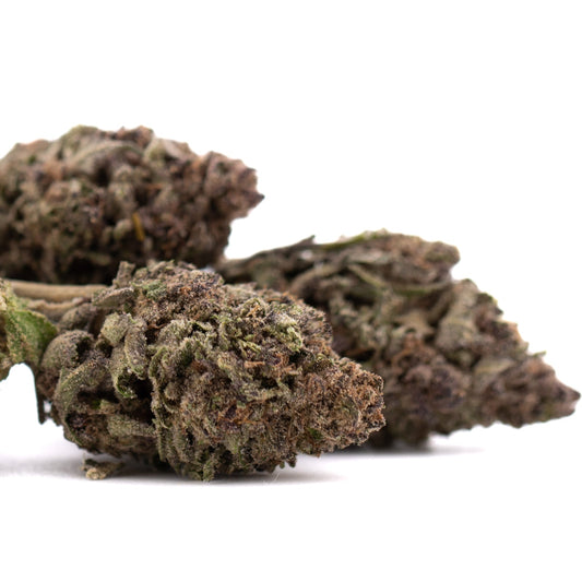 Halle Berry THCa Hemp Flower Greenhouse Wholesale