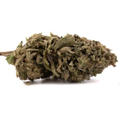 Halle Berry THCa Hemp Flower Greenhouse Wholesale