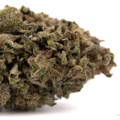 Halle Berry THCa Hemp Flower Greenhouse Wholesale