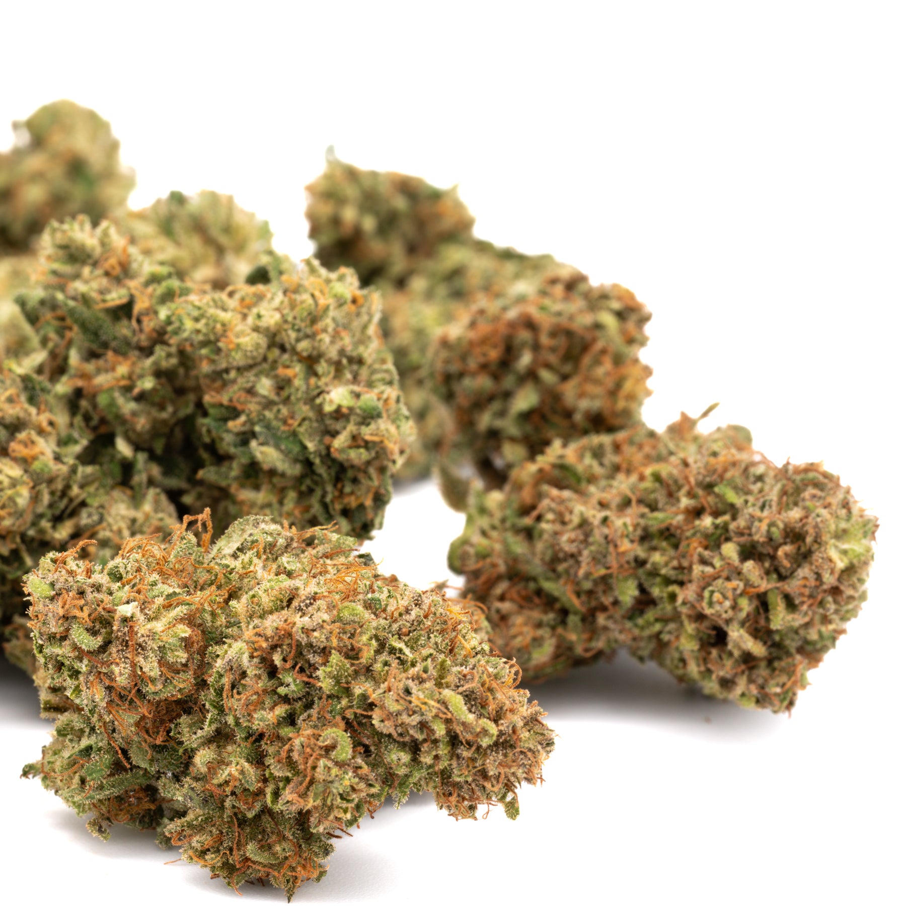 Dried Hawaiian Haze CBD Hemp Flower buds with trichomes and orange pistils for wholesale