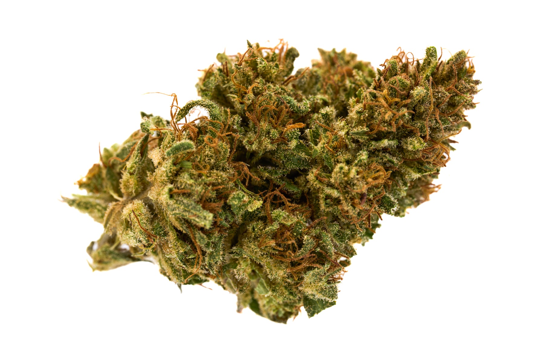 Dense Hawaiian Haze CBD Hemp Flower bud with green and golden colors for wholesale