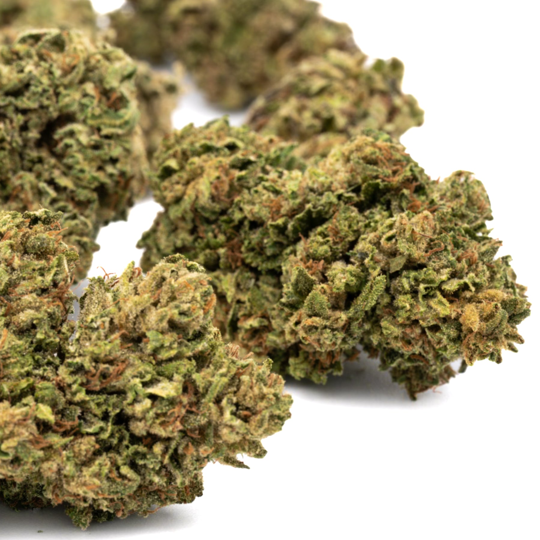 Dense Oregon hemp flower buds with green hues and vibrant orange pistils