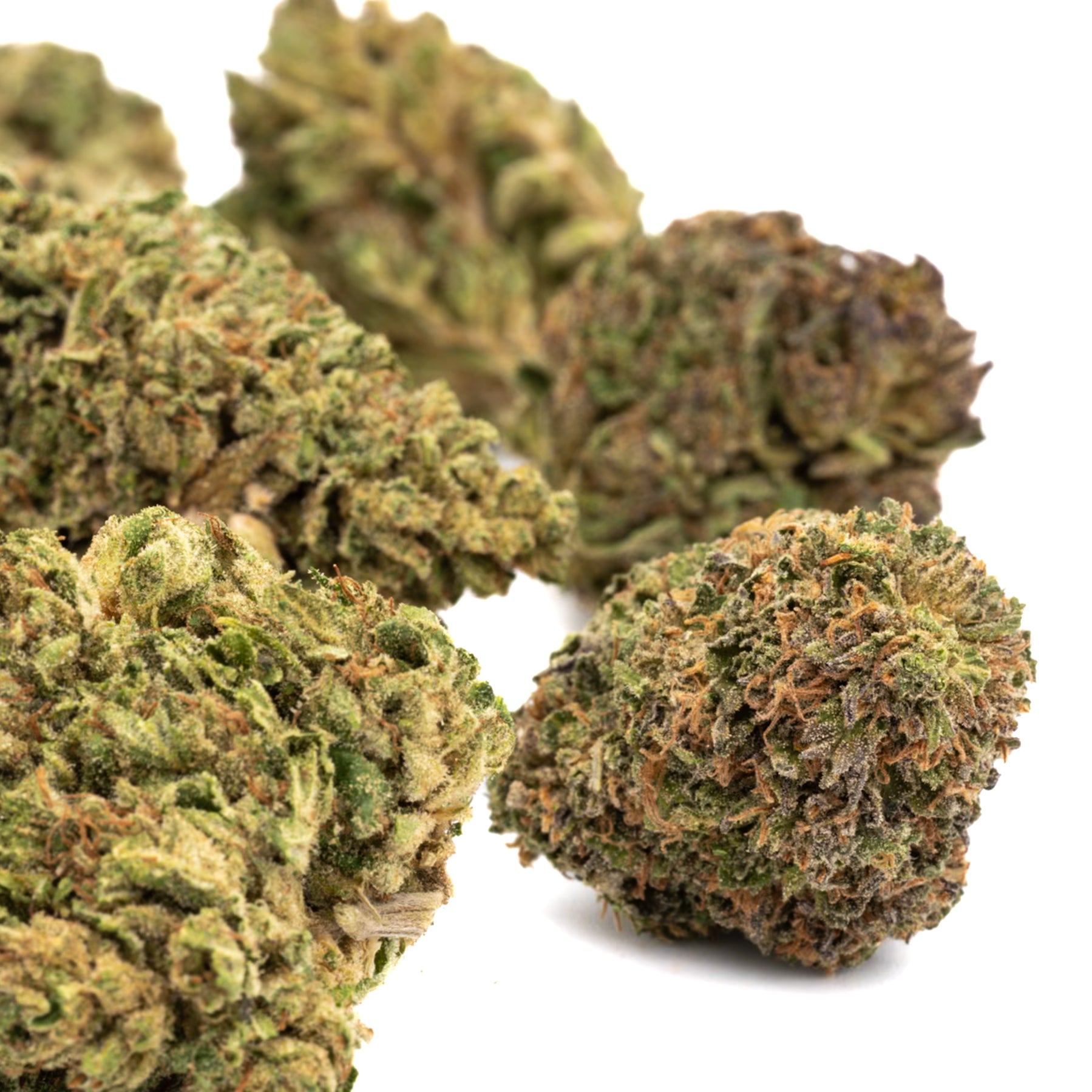 Dried Hempress CBD Hemp Flower buds with trichomes and orange pistils from Oregon hemp