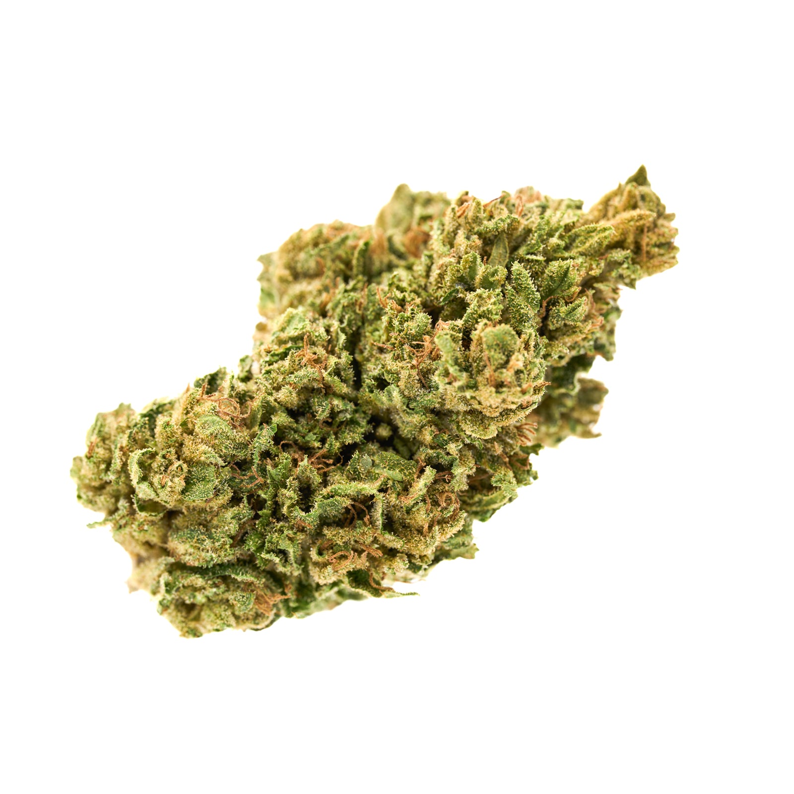 Dense Oregon hemp flower bud with green hues and vibrant orange pistils