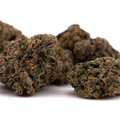 Highlighter THCa Indoor Flower - Plants