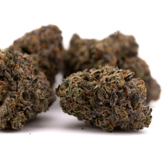 Highlighter THCa Indoor Flower - Plants