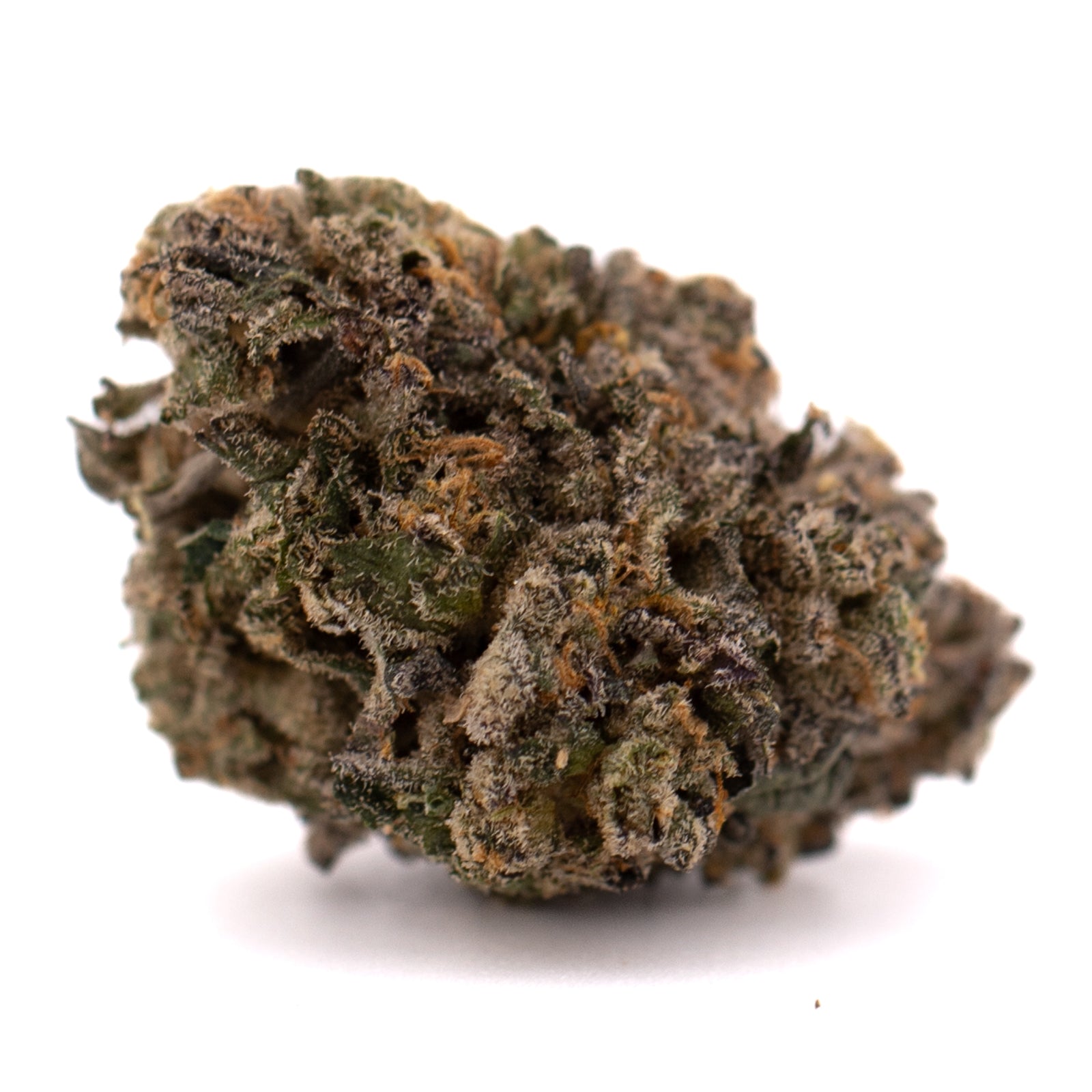 Highlighter THCa Indoor Flower - Plants