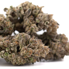 Hooch THCa Hemp Flower Greenhouse