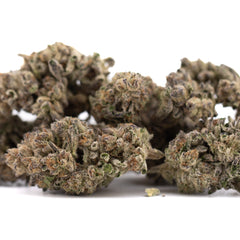 Hooch THCa Hemp Flower Greenhouse