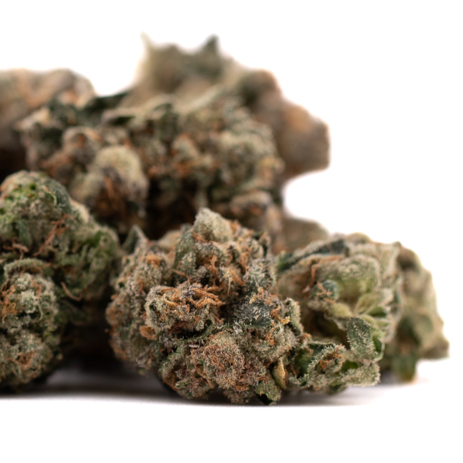 Humboldt Indoor THCa Flower - Plants