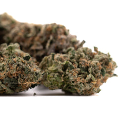 Humboldt Indoor THCa Flower - Plants