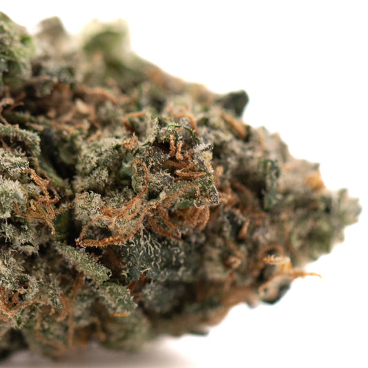 Humboldt Indoor THCa Flower - Plants