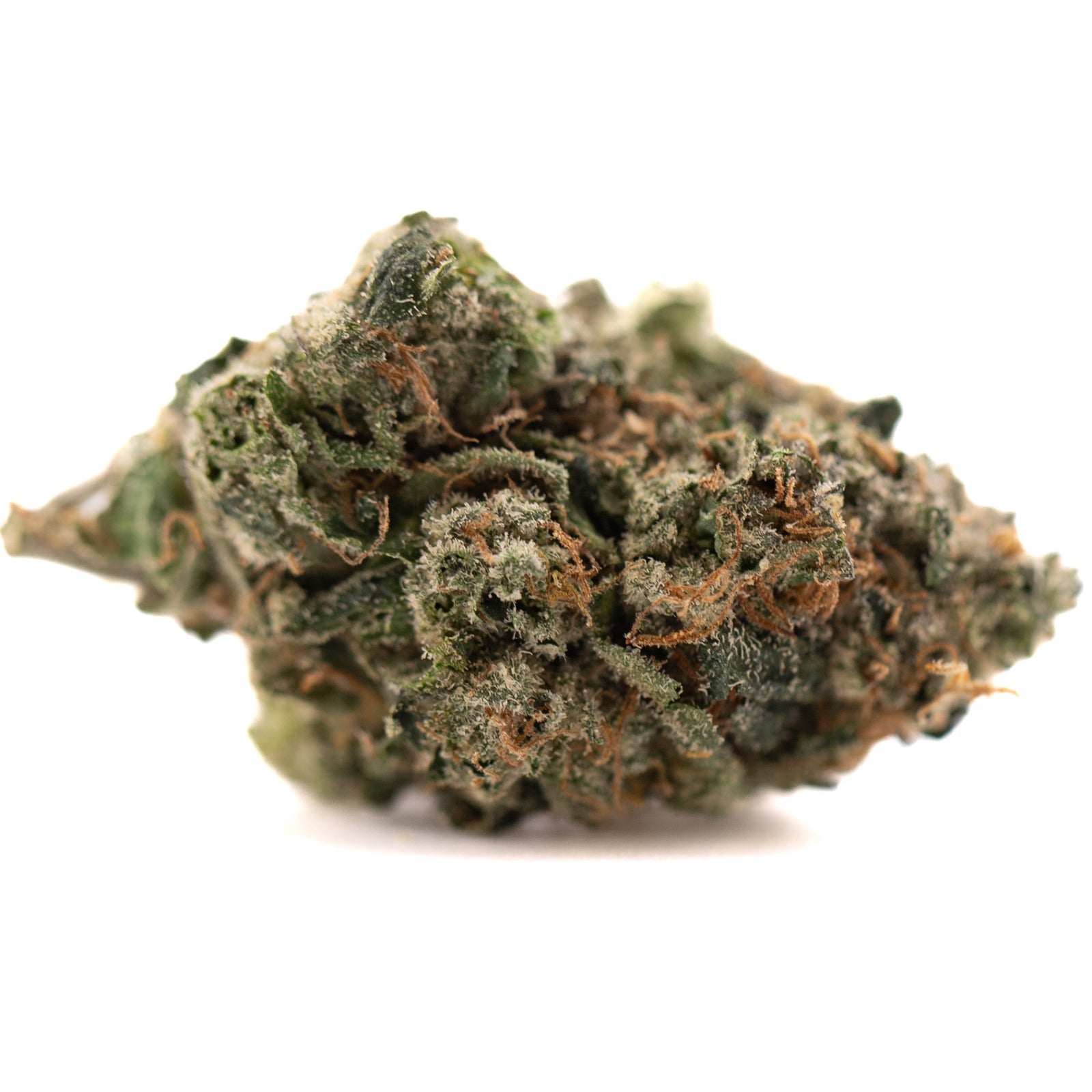 Humboldt Indoor THCa Flower - Plants