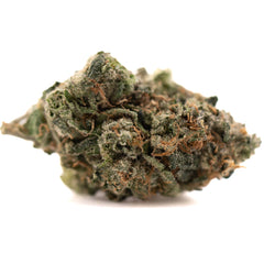 Humboldt Indoor THCa Flower - Plants
