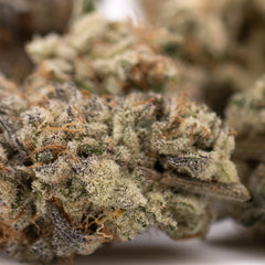 Jelly Breath Indoor THCa Flower - Plants