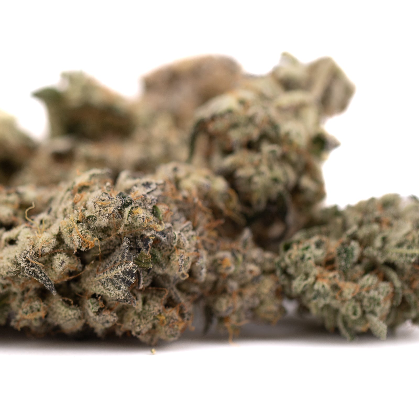 Jelly Breath Indoor THCa Flower - Plants