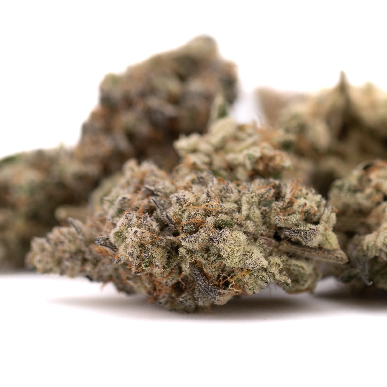 Jelly Breath Indoor THCa Flower - Plants