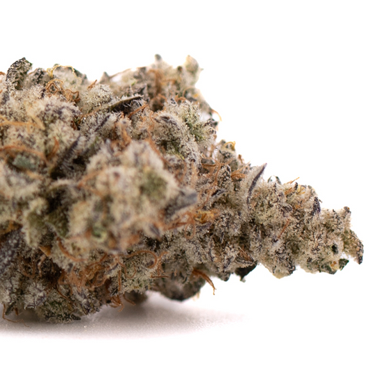 Jelly Breath Indoor THCa Flower - Plants