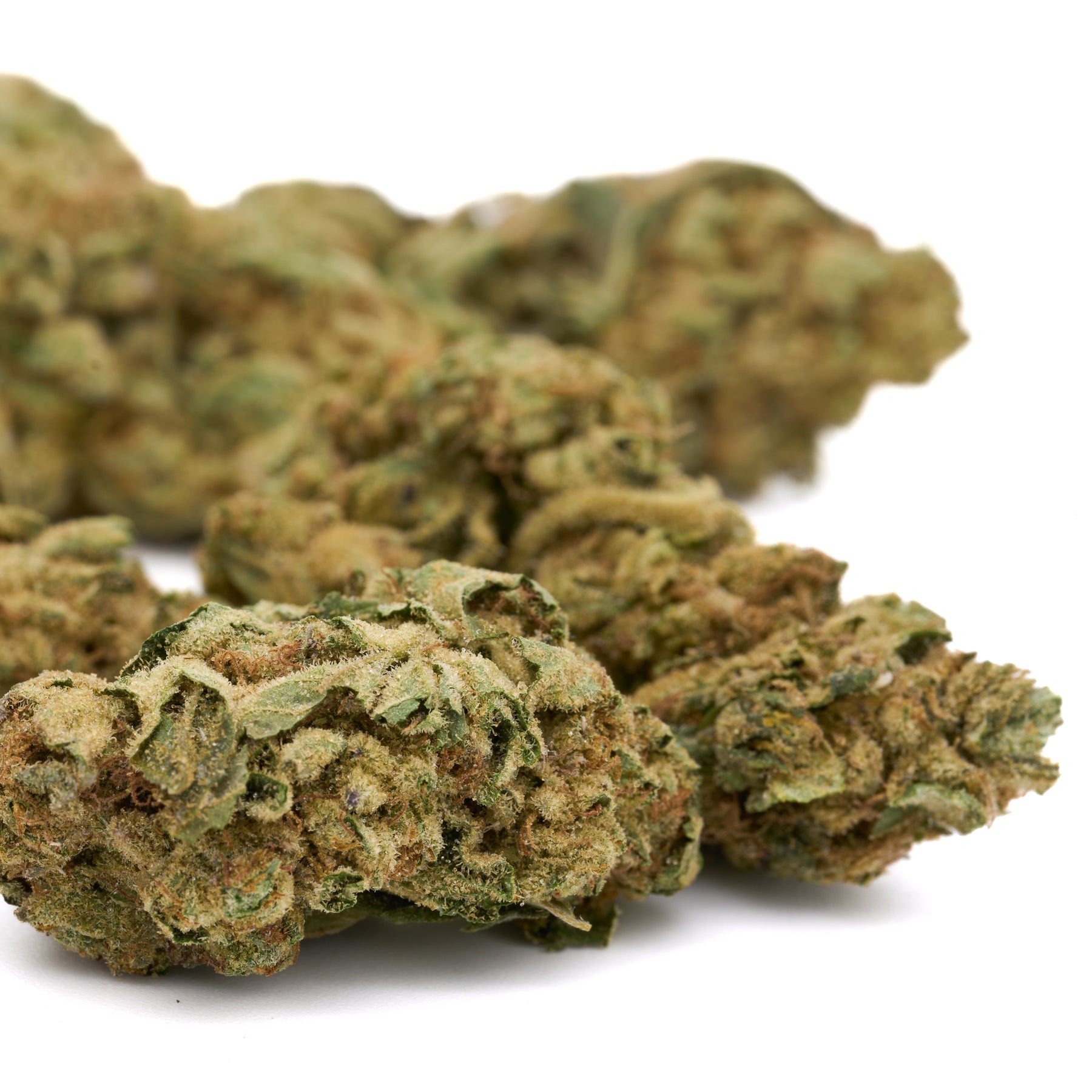 Jelly Breath THCa Hemp Flower Greenhouse - Plants