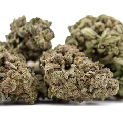 Jelly Donut THCa Flower Full-Term