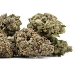 Jelly Donut THCa Flower Full-Term