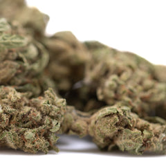 Jelly Mints THCa Flower Smalls Full-Term