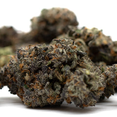 Jessica Rabbit Indoor THCa Flower - Plants