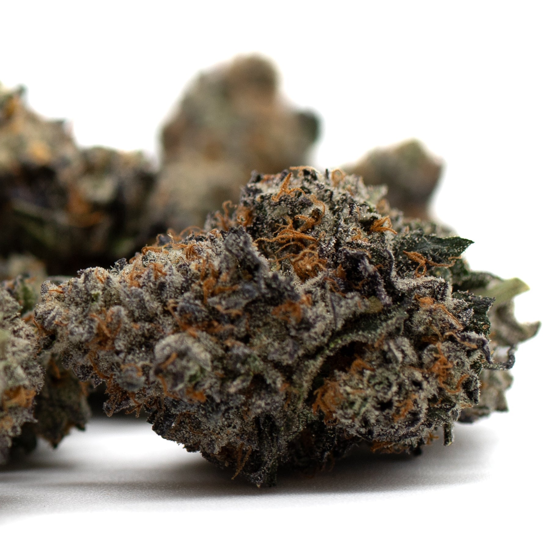 Jessica Rabbit Indoor THCa Flower - Plants