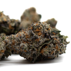 Jessica Rabbit Indoor THCa Flower - Plants