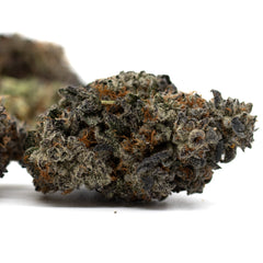 Jessica Rabbit Indoor THCa Flower - Plants