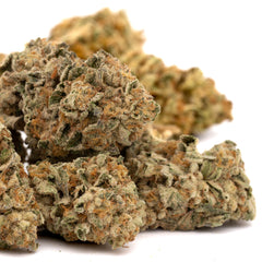 Jessica Rabbit Full-Term THCa Flower - Plants