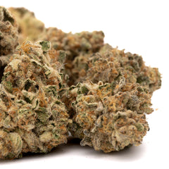 Jessica Rabbit Full-Term THCa Flower - Plants