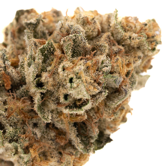 Jessica Rabbit Full-Term THCa Flower - Plants