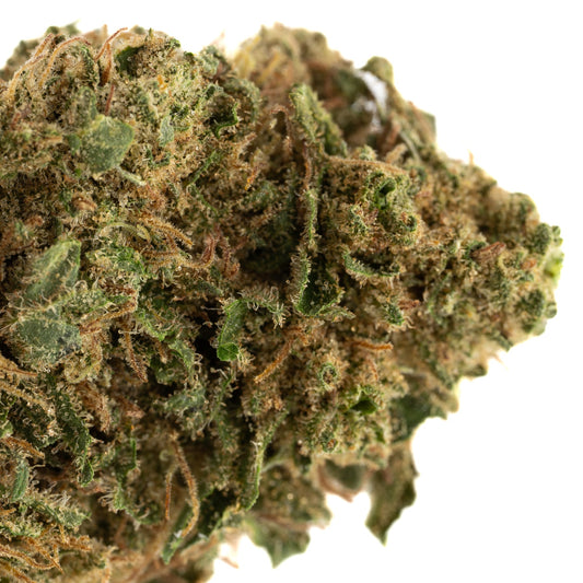 Jet Fuel Gelato Full-Term THCa Flower - Plants