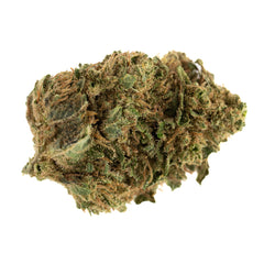 Jet Fuel Gelato Full-Term THCa Flower - Plants