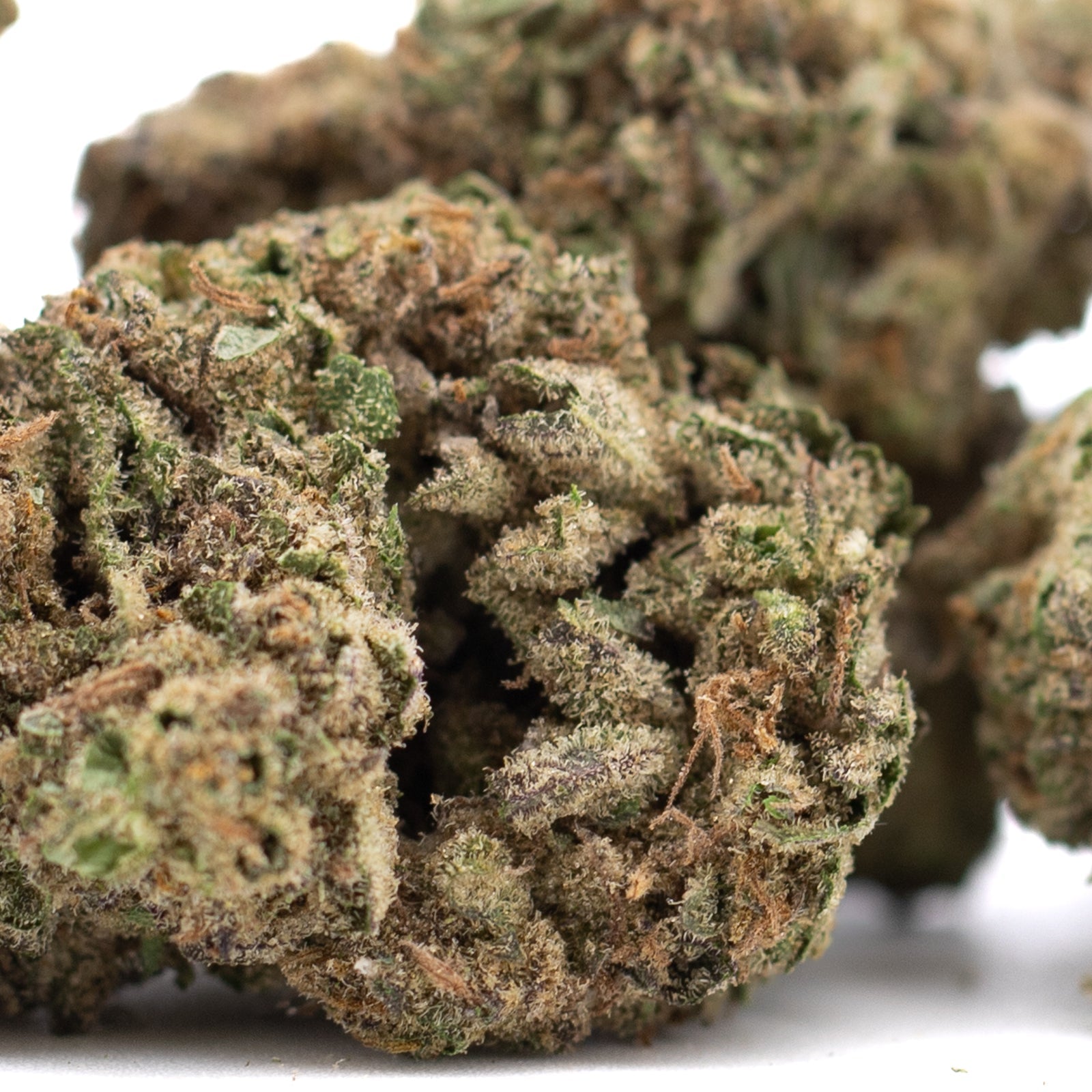 Joker OG THCa Hemp Flower Greenhouse - Plants