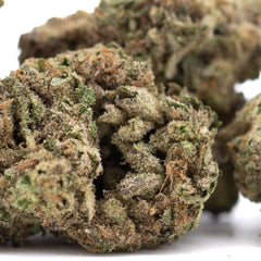 Joker OG THCa Hemp Flower Greenhouse - Plants