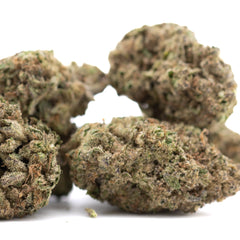Joker OG THCa Hemp Flower Greenhouse - Plants