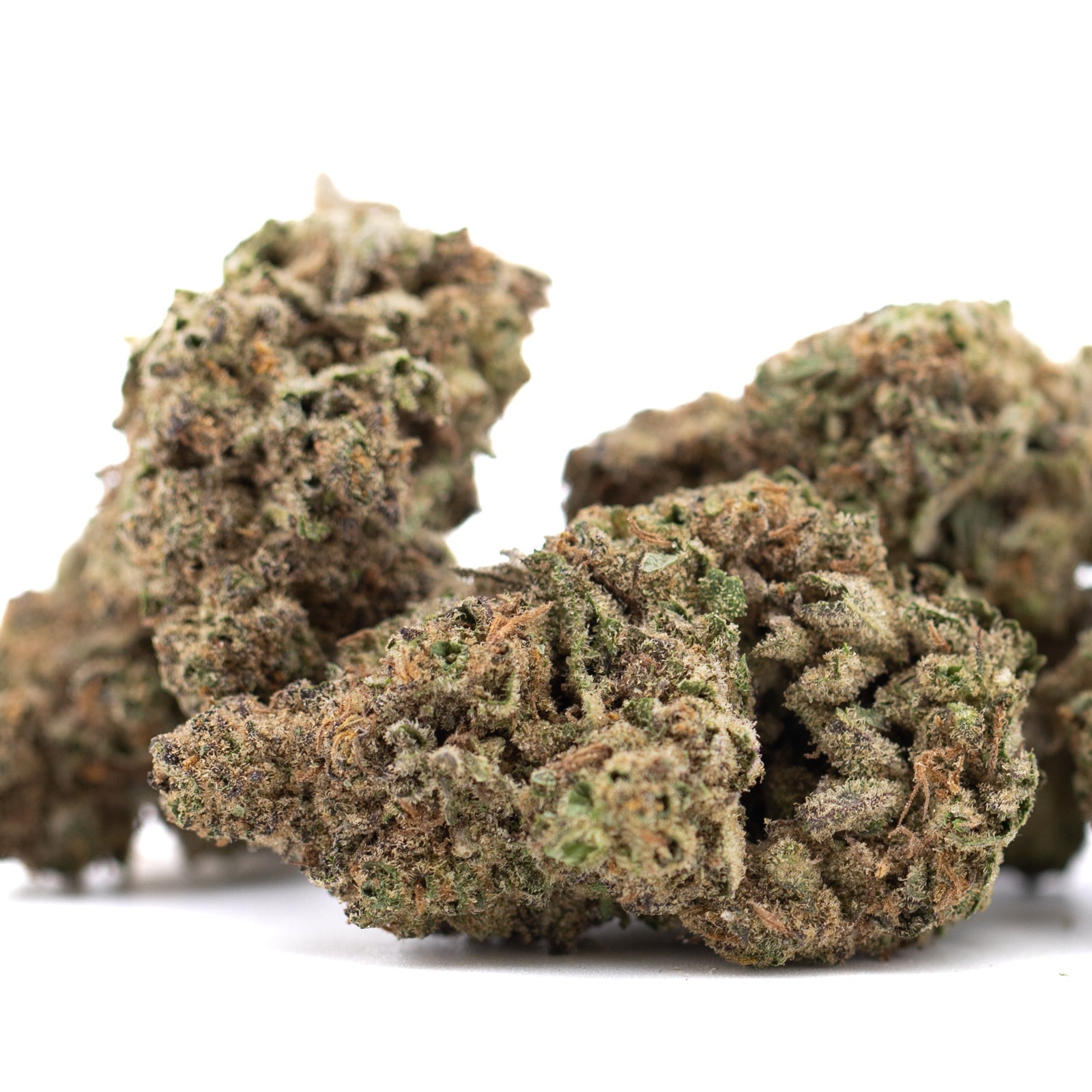 Joker OG THCa Hemp Flower Greenhouse - Plants