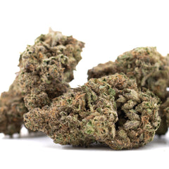 Joker OG THCa Hemp Flower Greenhouse - Plants