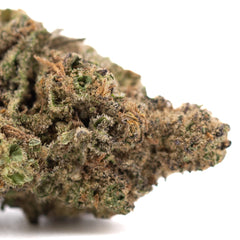 Joker OG THCa Hemp Flower Greenhouse - Plants