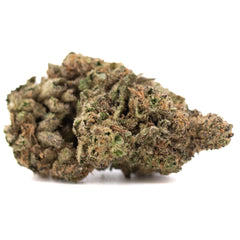 Joker OG THCa Hemp Flower Greenhouse - Plants